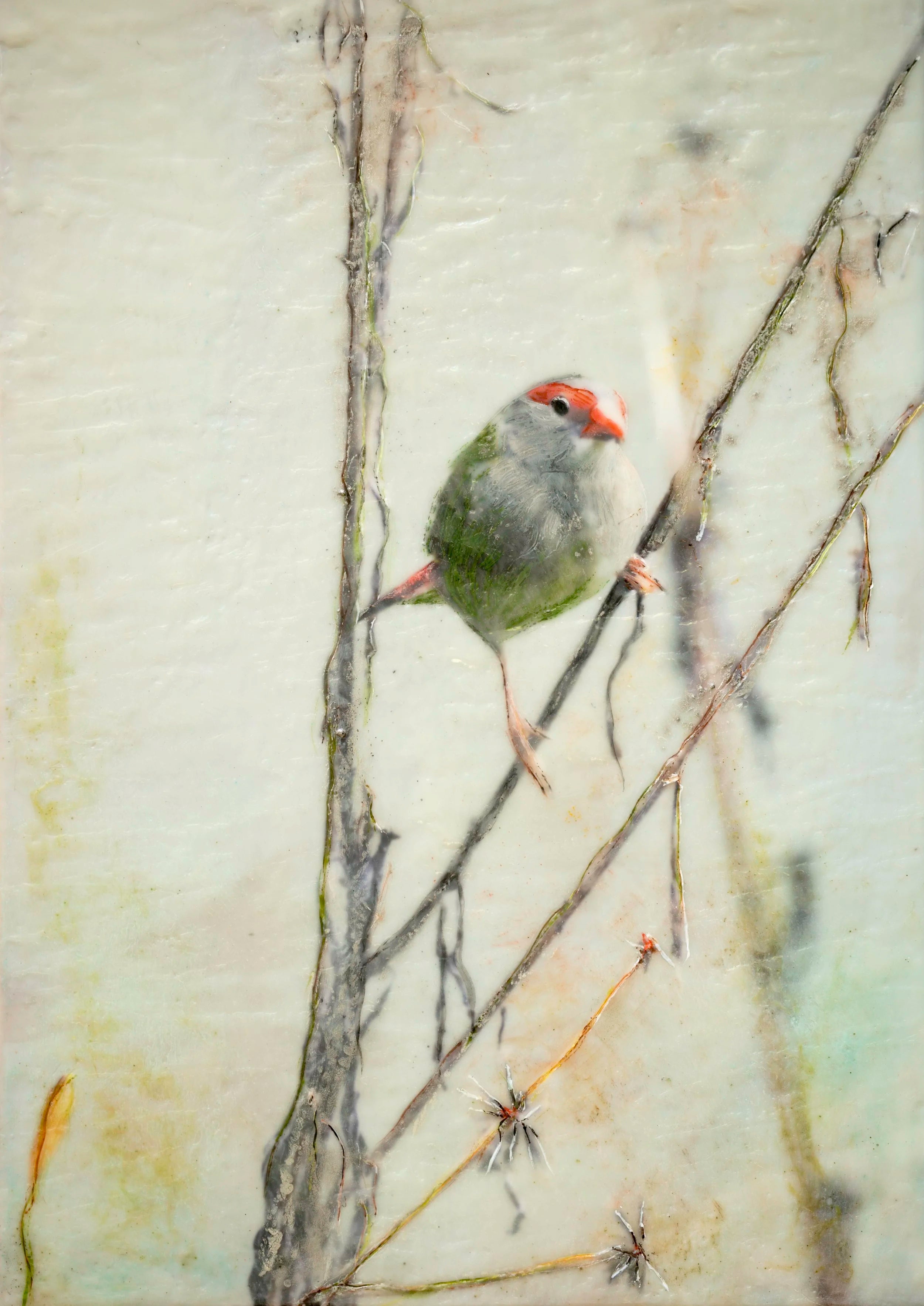 finchbythecreekbangalowaustralia