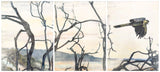 Homeward (triptych)