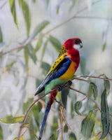 Soft Rain at Moonrise (triptych)