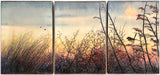 The magic of light (SOLD)