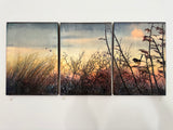 The magic of light (SOLD)