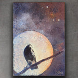 midnight-magpie