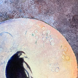 midnight-magpie