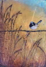 in-the-fairy-paddock