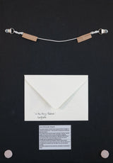 in-the-fairy-paddock