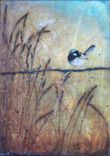 in-the-fairy-paddock