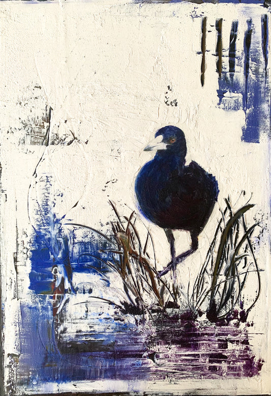 magpie-at-the-waterhole-1