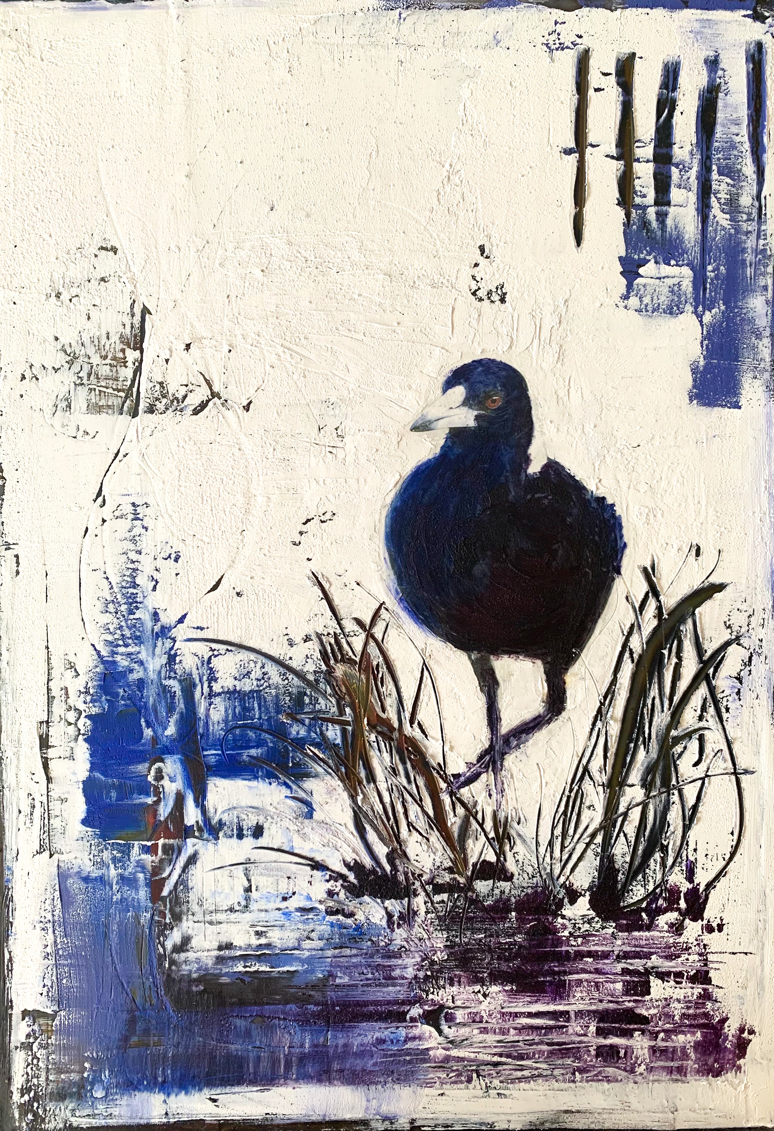 magpieatthewaterhole