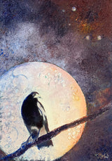 midnight-magpie