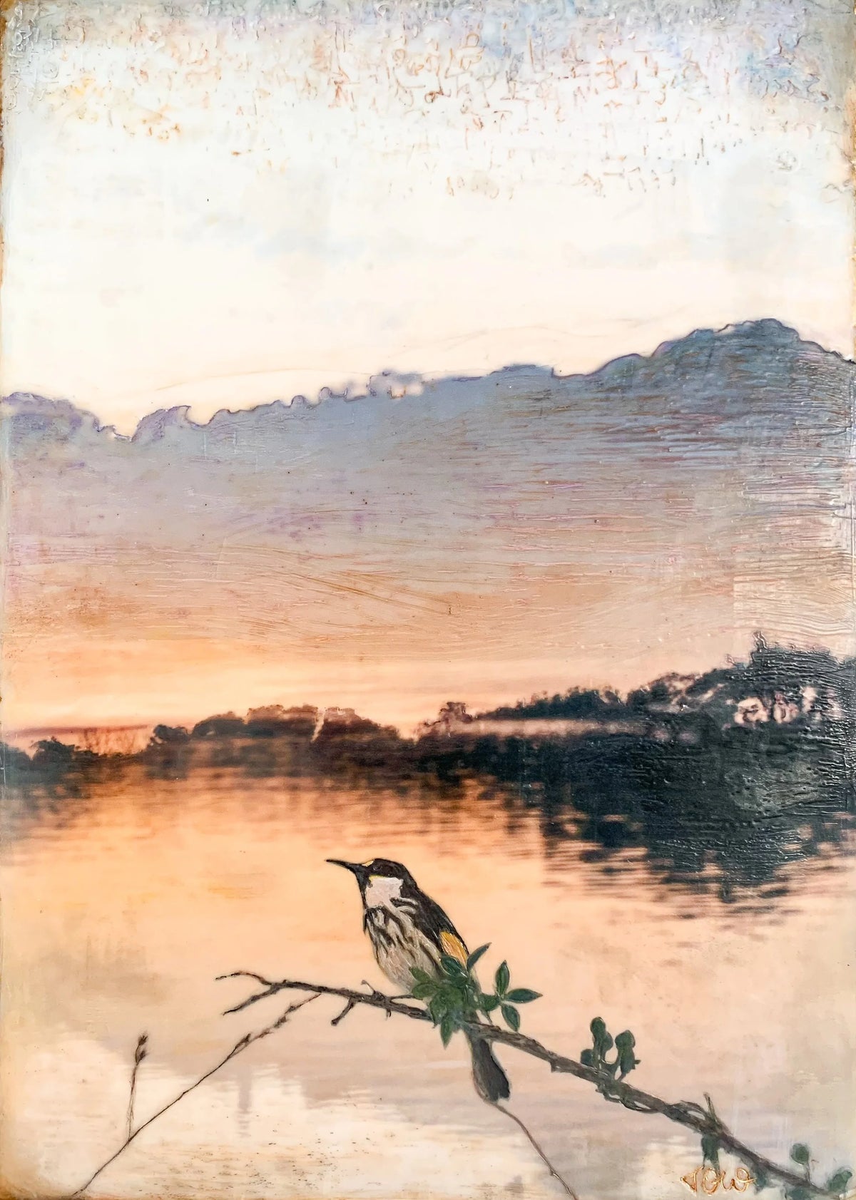 thevelvetcalmprintbrunswickheads