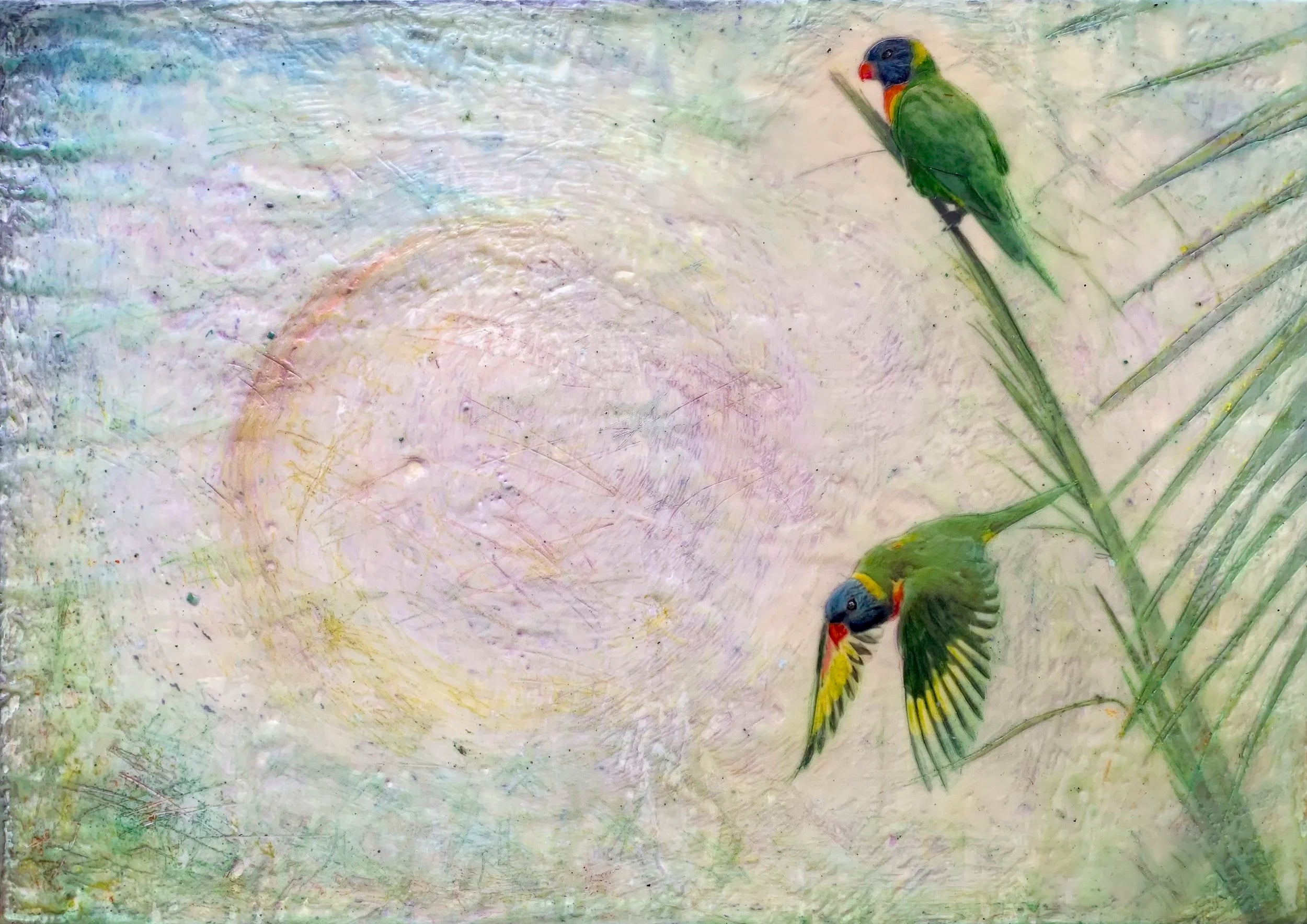 moonriseandthelorikeetsprint