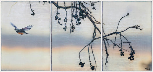 magicintheskytriptych