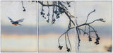magicintheskytriptych