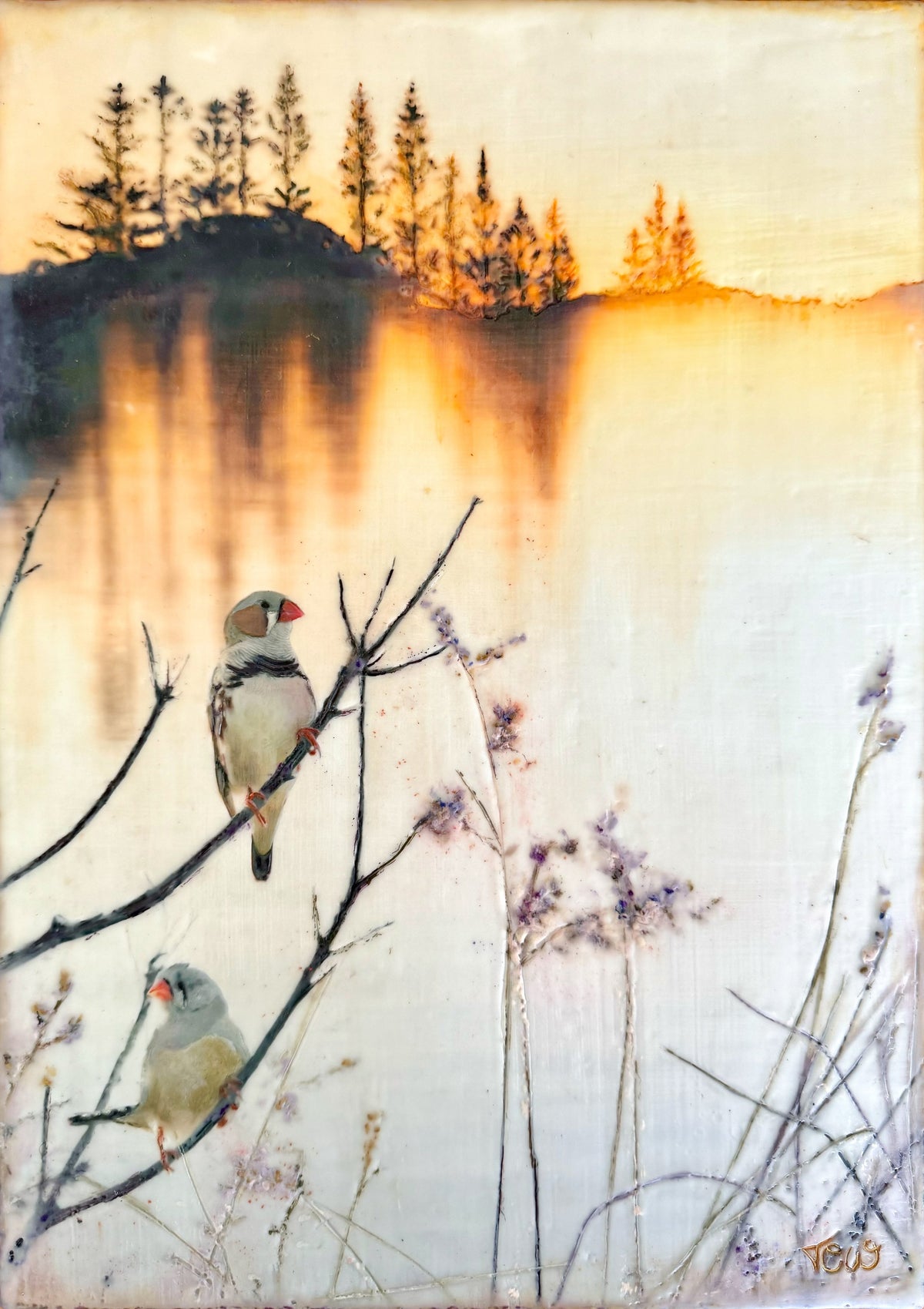 thelightintheshadows