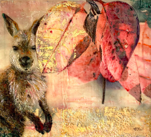 wallaby-in-the-rosy-dawn