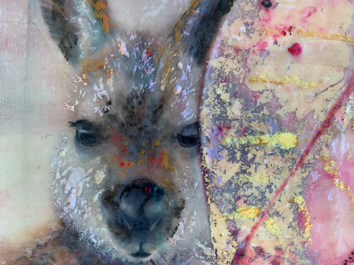 wallaby-in-the-rosy-dawn