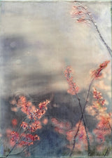 Wild Summer Gone