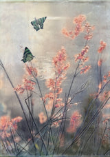 Wild Summer Gone