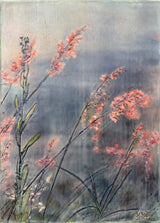 Wild Summer Gone